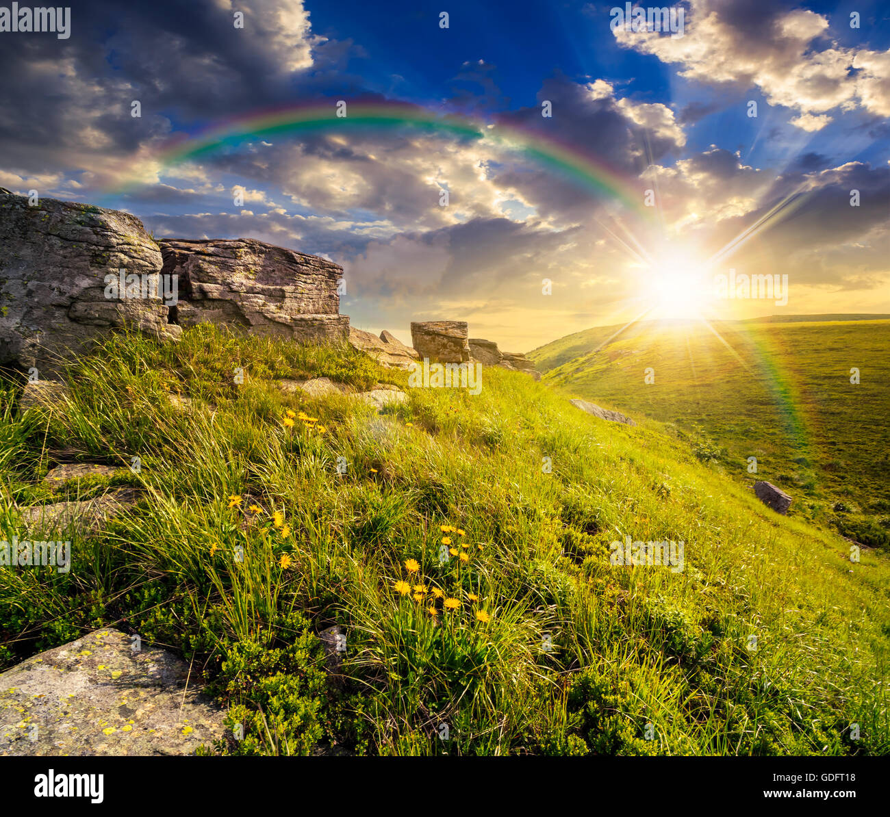 Dandelion and sun flare hi-res stock photography and images - Alamy