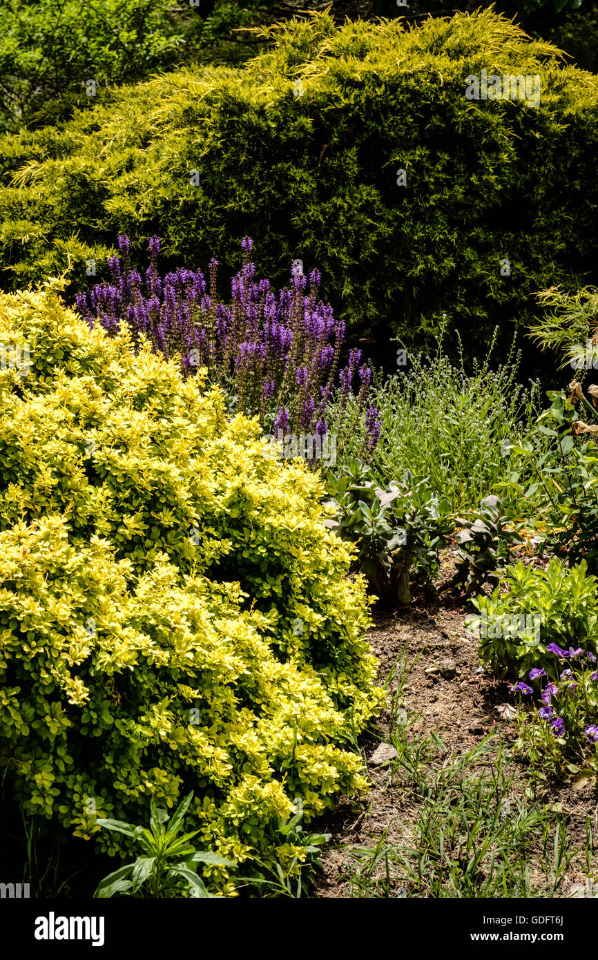 Formal gardens, Long Branch Plantation, Millwood, Virginia Stock Photo