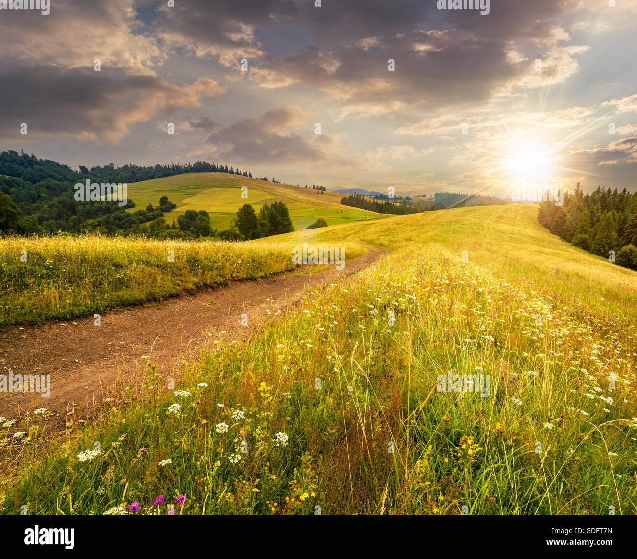 village on hillside meadow with forest in mountain Free Photo