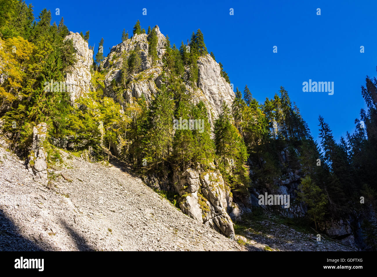 Rocky mountain forest hi-res stock photography and images - Alamy
