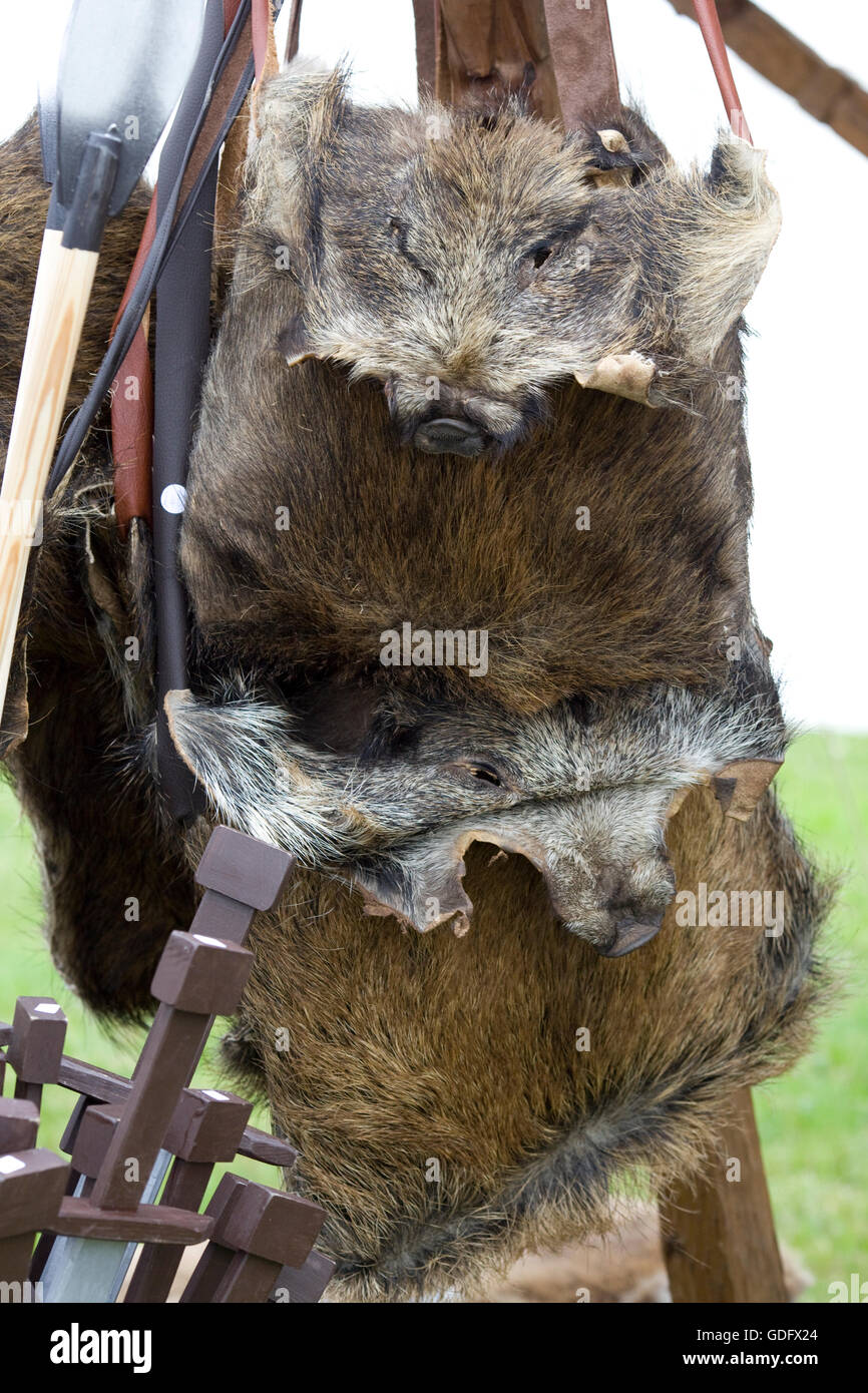 handbags made from wild boar Stock Photo