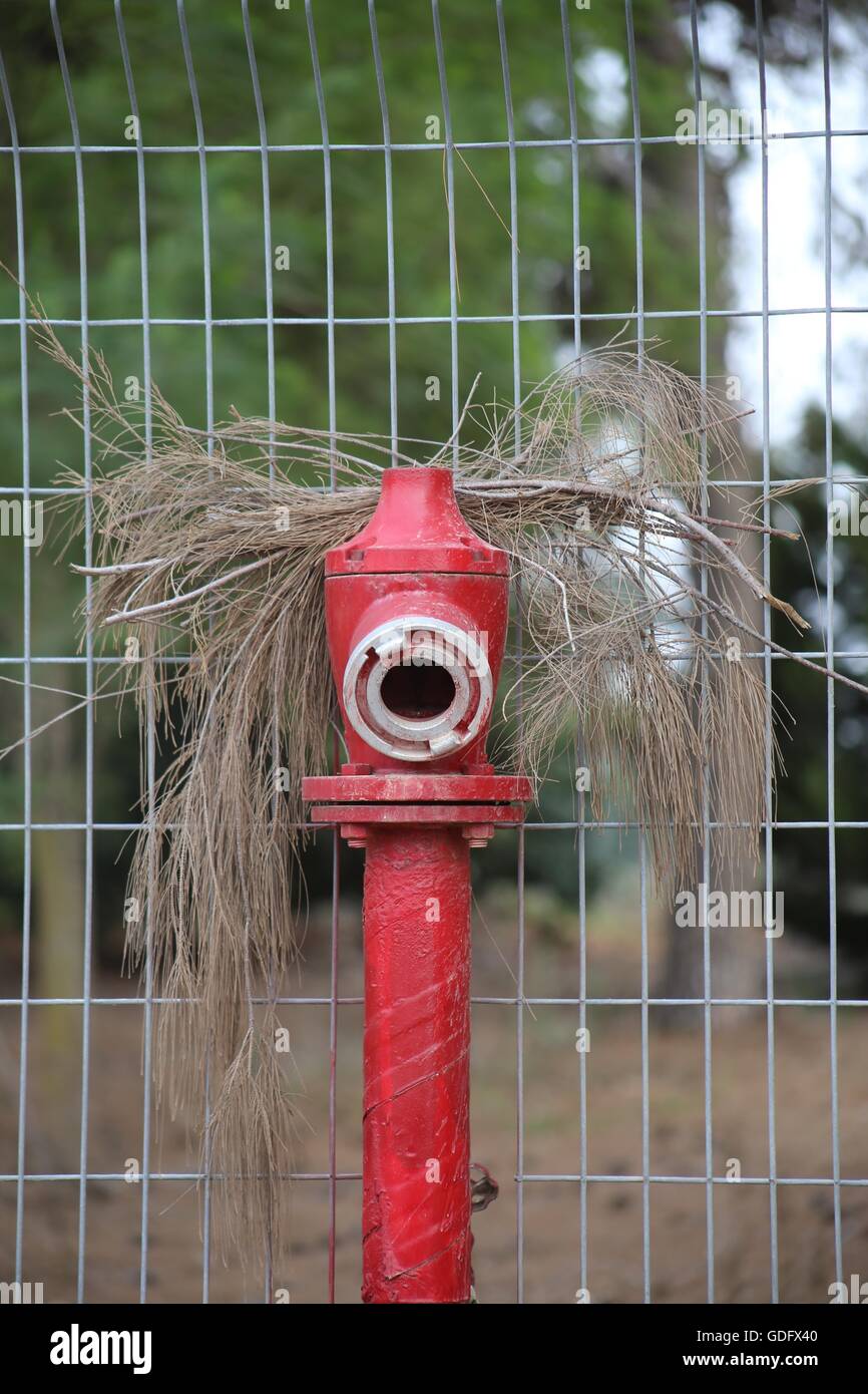 Fire Valve. Red fire pipe, fire valve near a fence, with a pile of pine needles over. Fire Hydrant in front of an iron fence and a stack of pine needl Stock Photo