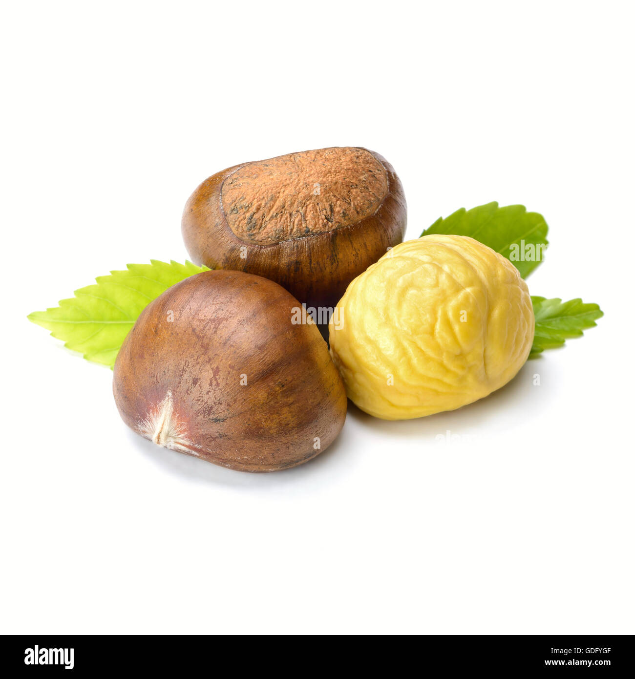 chestnuts on white Stock Photo Alamy