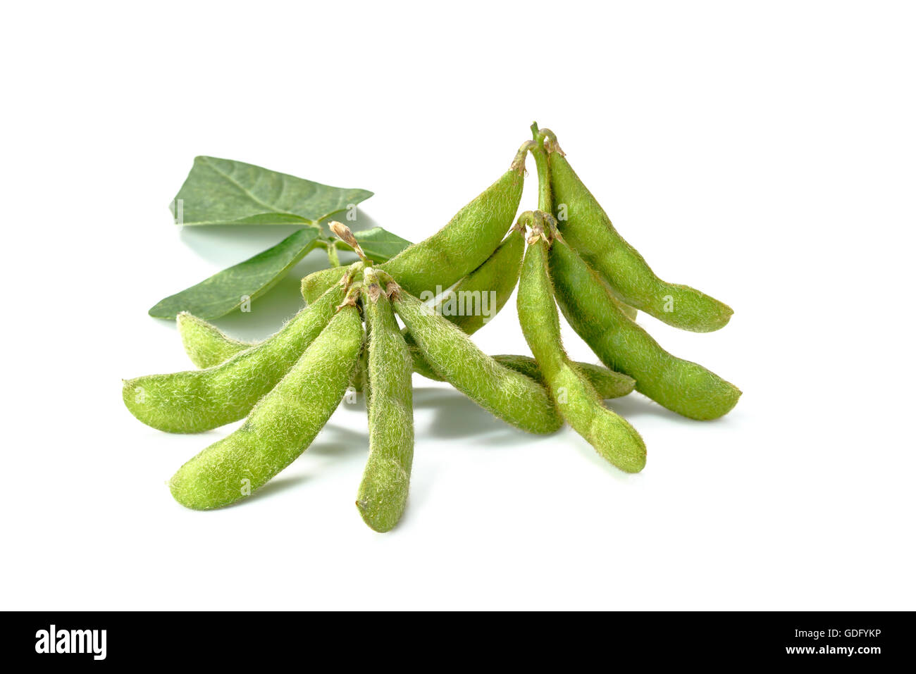 green young soybeans on white Stock Photo Alamy