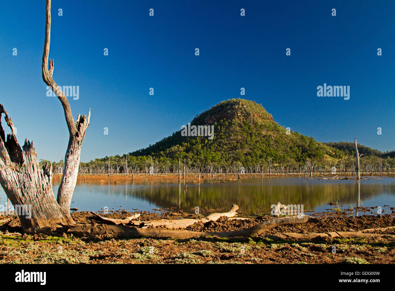 Lake Nuga Nuga with forested conical hill reflected in mirror surface of blue water under blue sky in outback Qld Australia Stock Photo