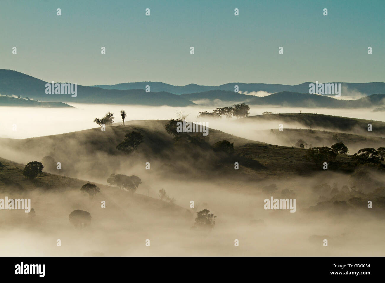 Thick blanket of morning mist covering valleys, with peaks of hills & trees spearing through ocean of white under blue sky in Great Dividing Range Stock Photo