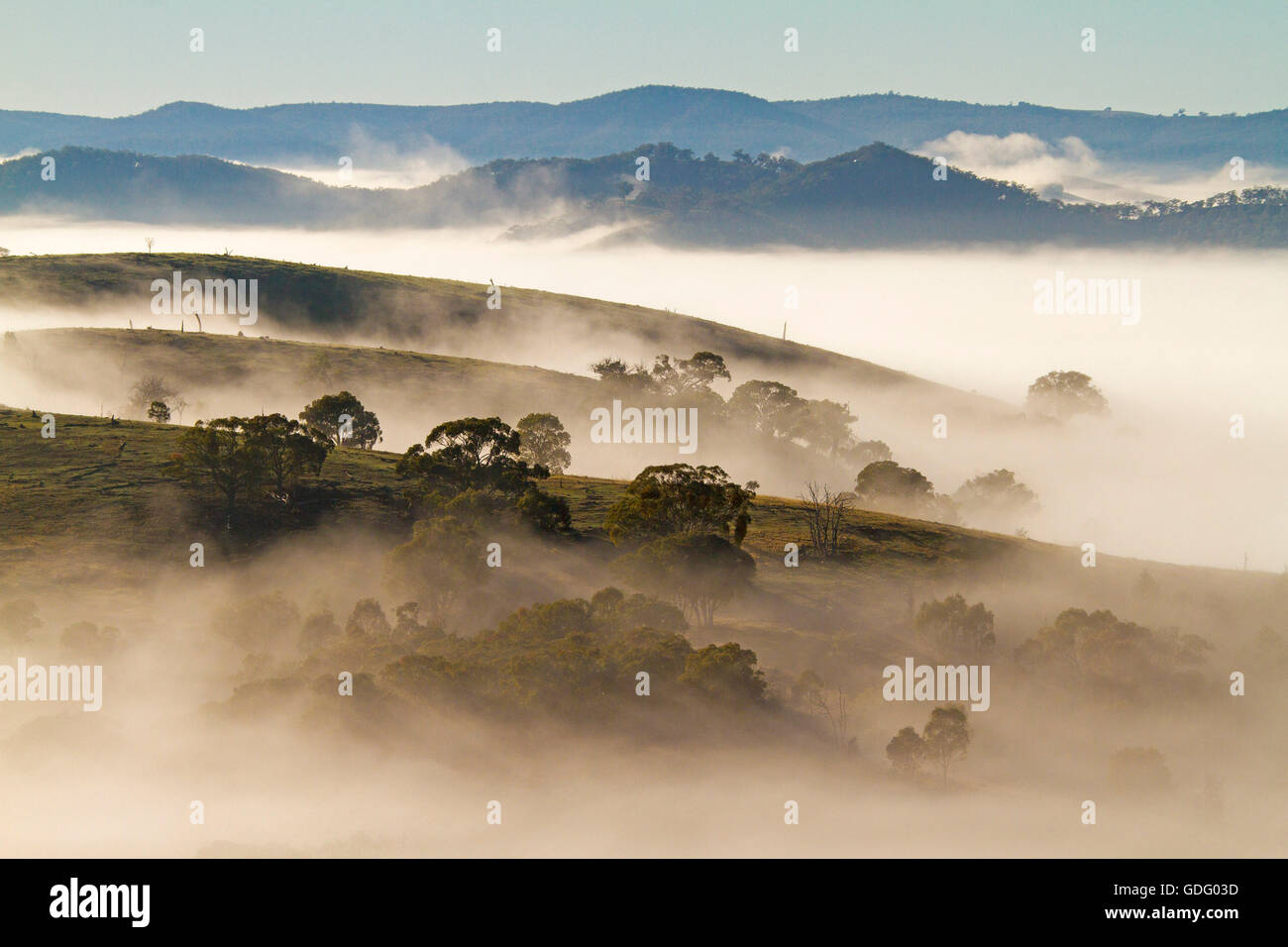 Thick blanket of morning mist covering valleys, with peaks of hills & trees spearing through ocean of white under blue sky in Great Dividing Range Stock Photo
