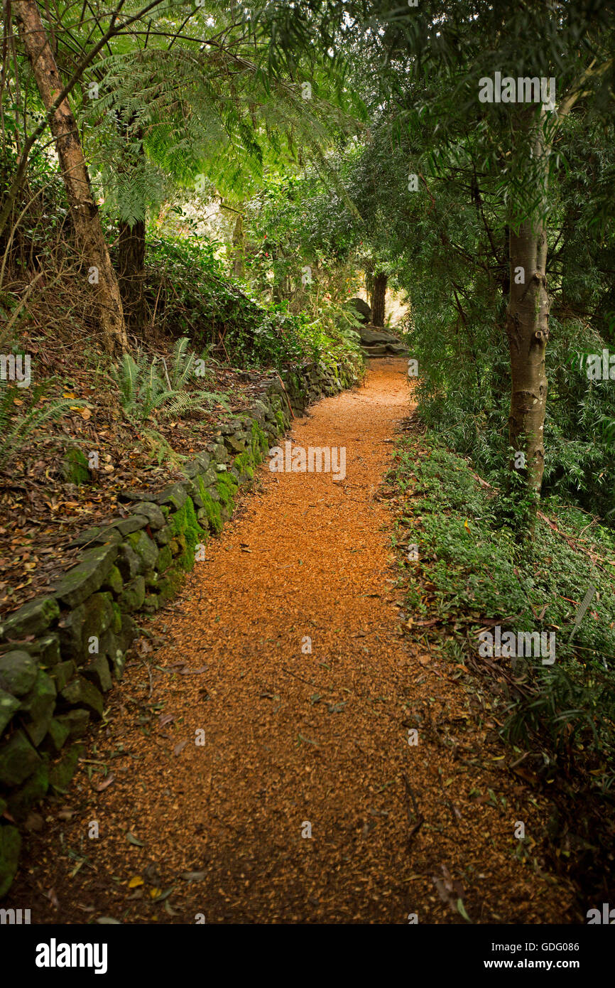 Red gravel pathway through dense shaded forest of verdant vegetation of trees and ferns in Blue Mountains botanic gardens NSW Stock Photo