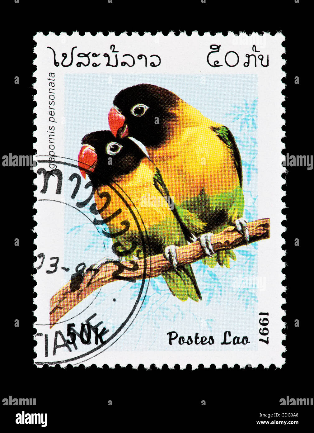 Postage stamp from Laos depicting a pair of yellow-collared lovebirds ...