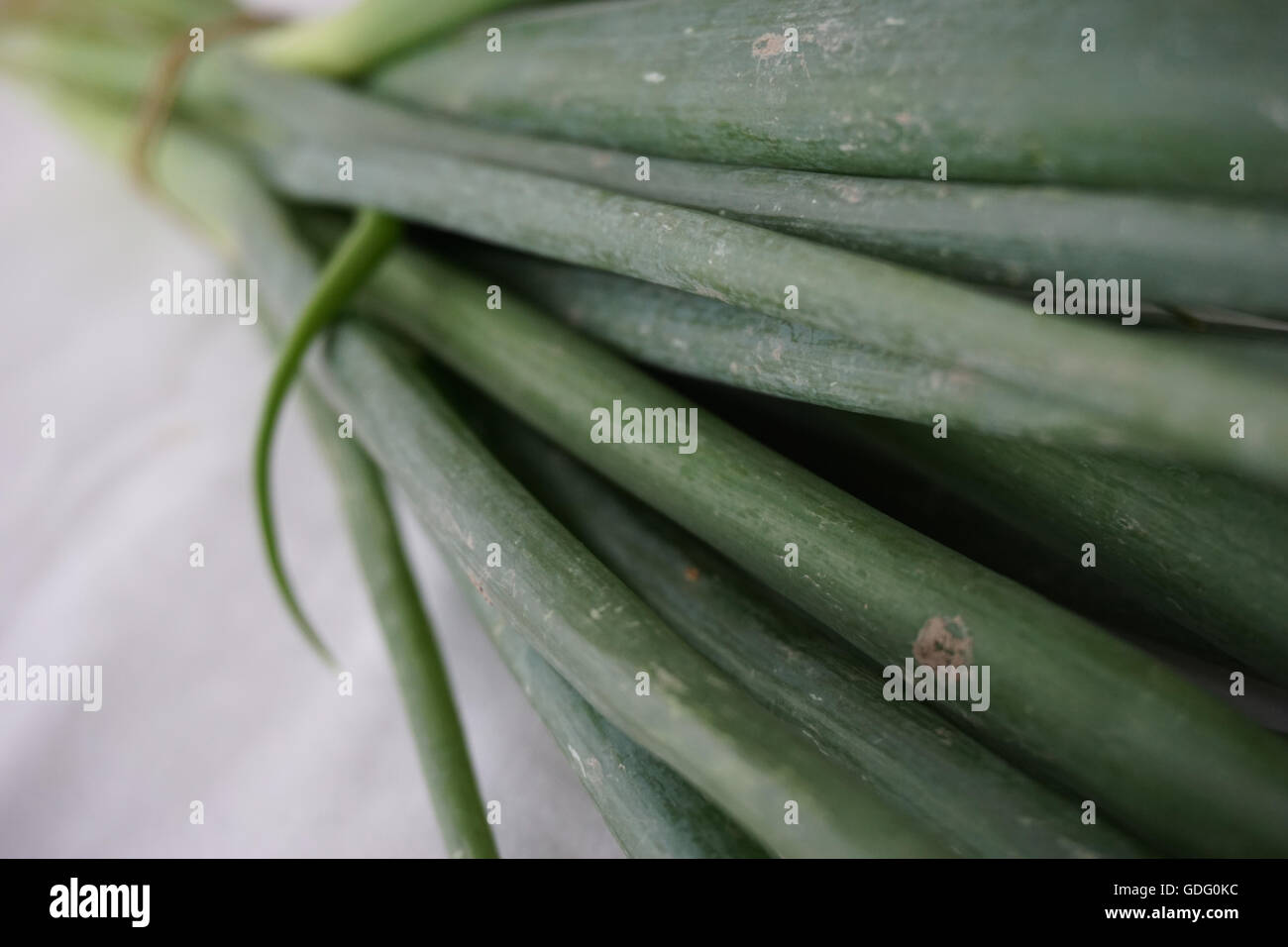 Spring green onions hi-res stock photography and images - Alamy