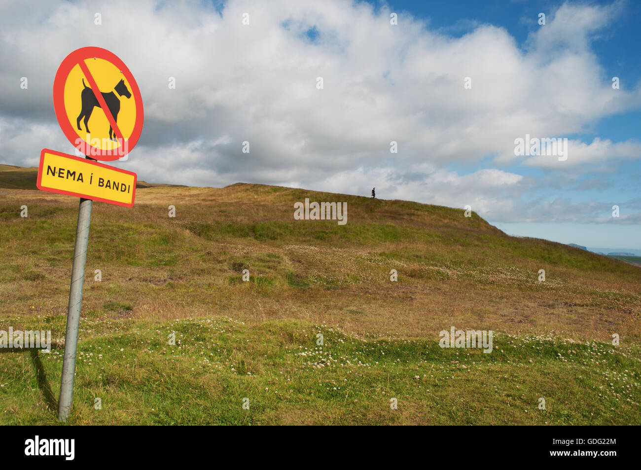 Iceland prohibition sign for dogs in the valley of Skoga River Stock