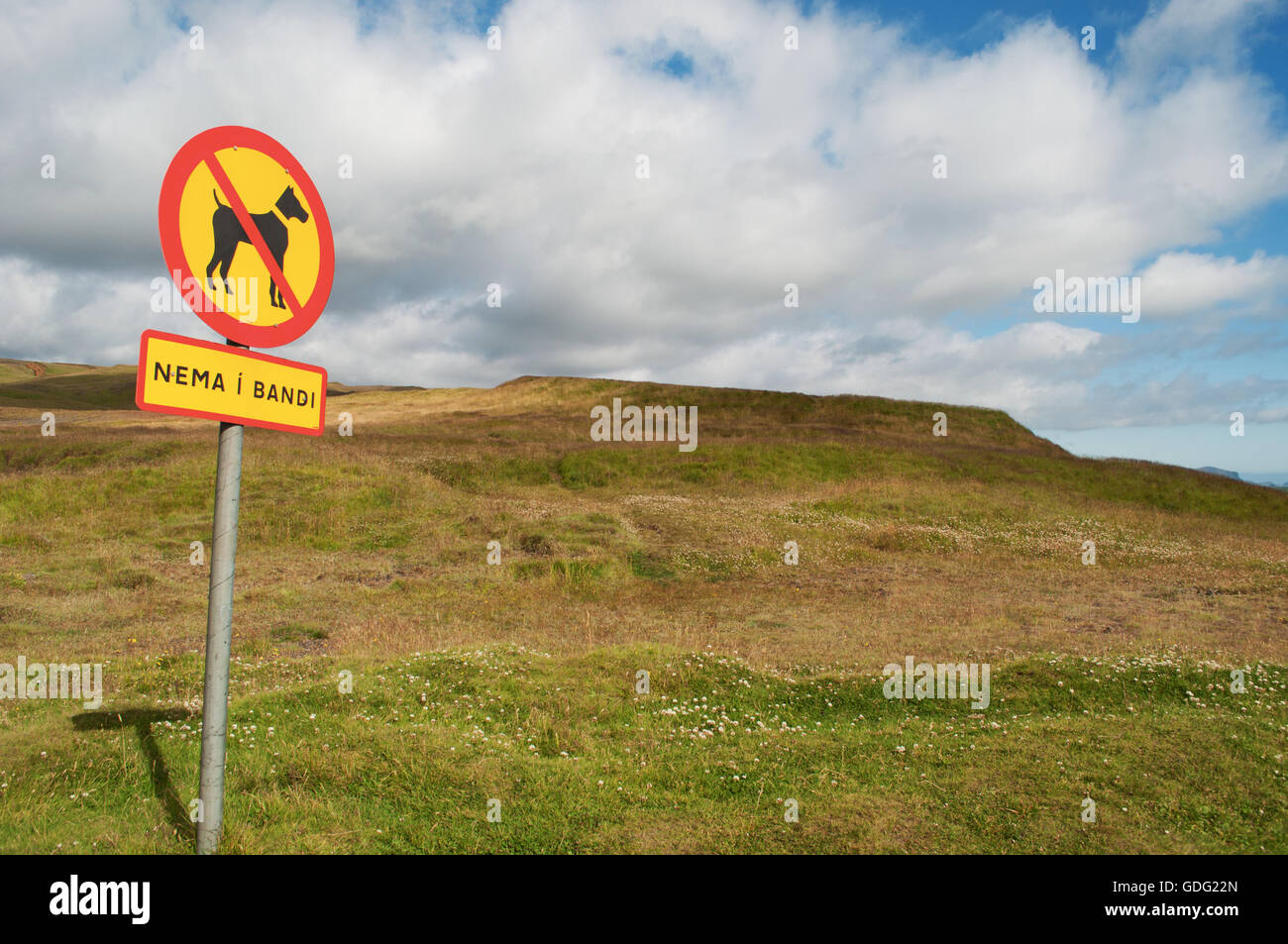 Iceland prohibition sign for dogs in the valley of Skoga River Stock