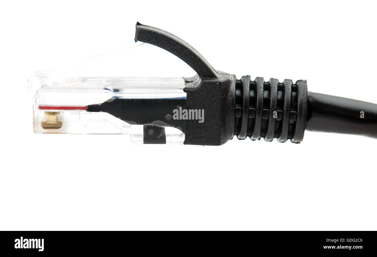 lan cable line isolated with white background Stock Photo - Alamy