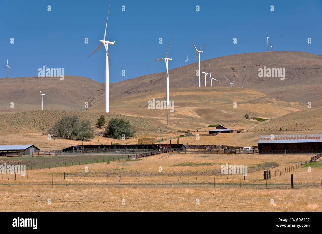 Wind energy generated by large blades spinning on a hill in Washington state. Stock Photo