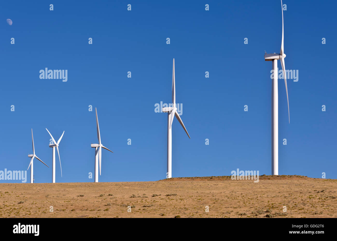 Wind energy generated by large blades spinning on a hill in Oregon. Stock Photo