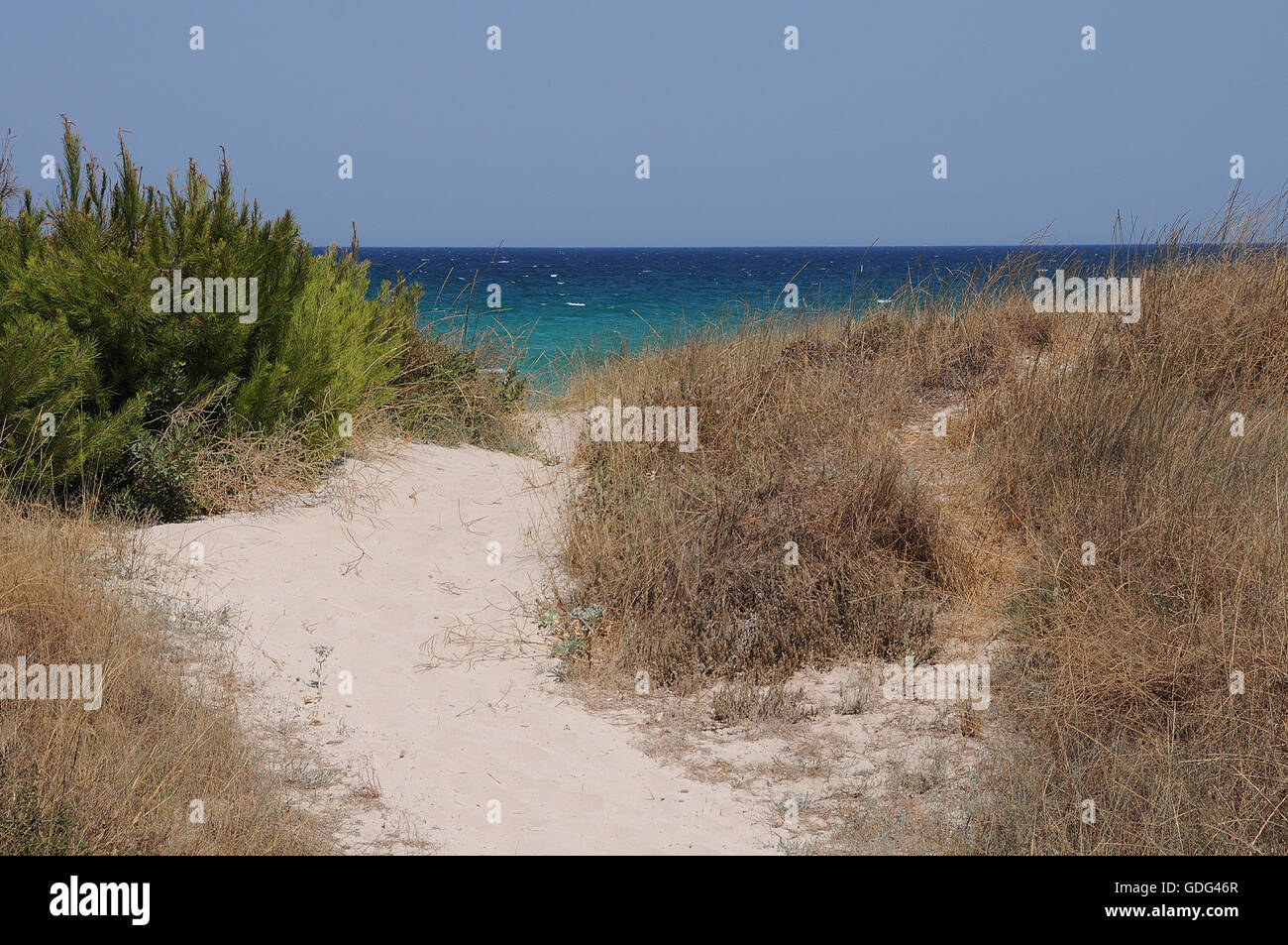 Path to the beach, Majorca, Balearic Islands, Playa de Muro, Can Picafort Stock Photo