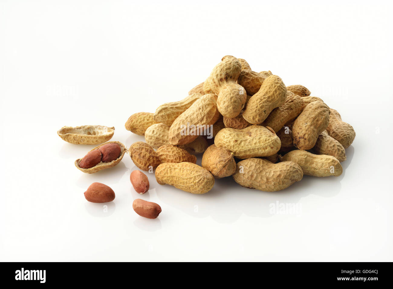 Peanuts on White Background Stock Photo