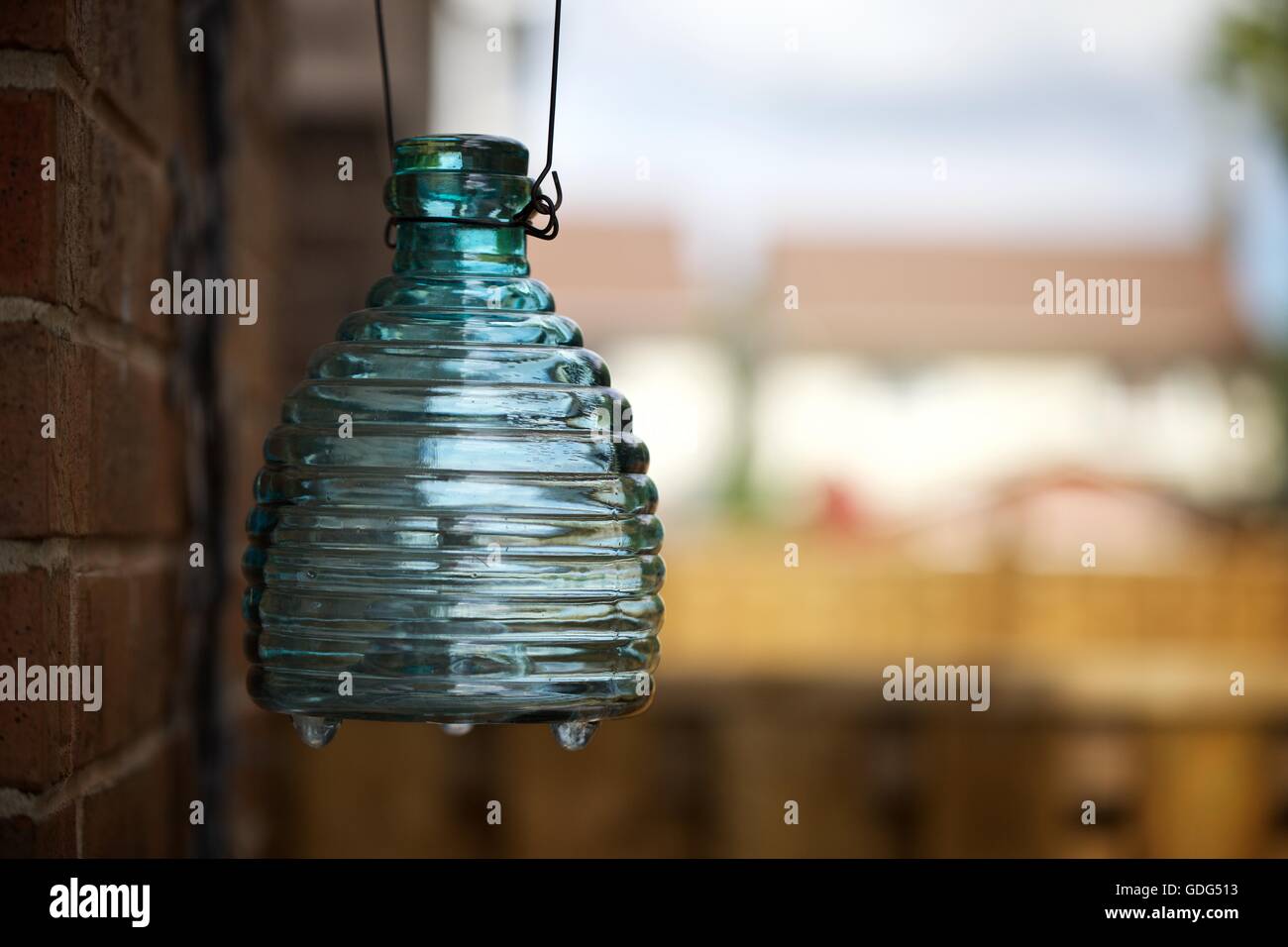 Wasp catcher made of glass Stock Photo Alamy
