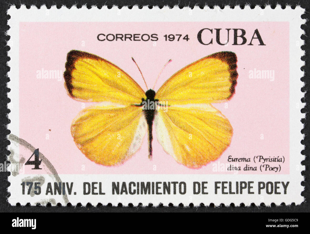 GROOTEBROEK ,THE NETHERLANDS - MARCH 8,2016 : A stamp printed in Cuba shows butterfly Eurema dina dina, series Felipe Poey, circ Stock Photo