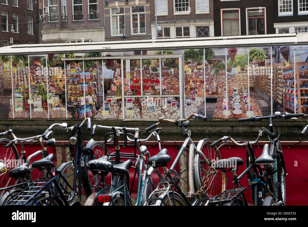 The famous Bloemenmarkt floating market with floral designs in Amsterdam, Holland, Netherlands. Stock Photo