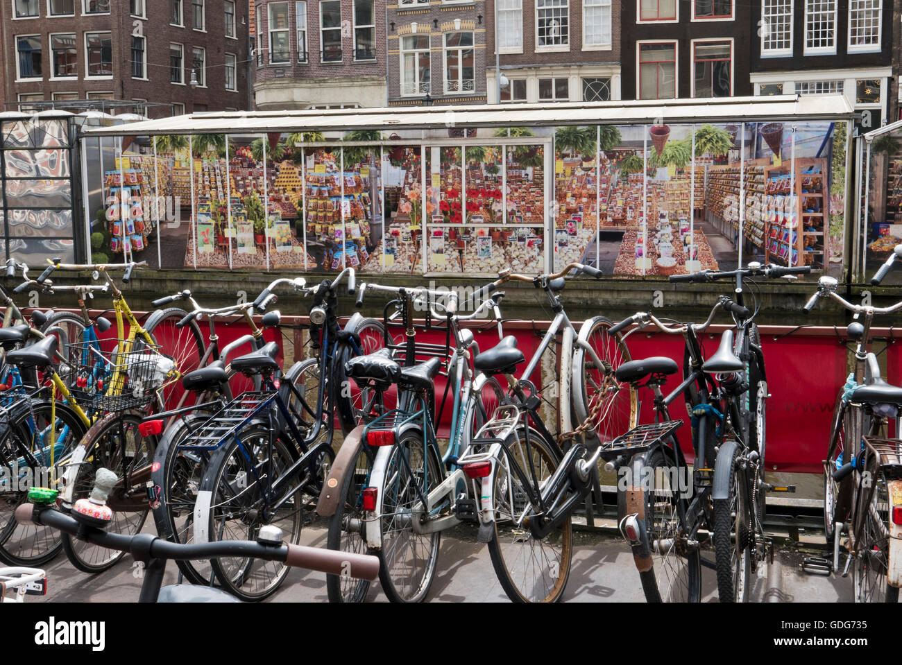 The famous Bloemenmarkt floating market with floral designs in Amsterdam, Holland, Netherlands. Stock Photo