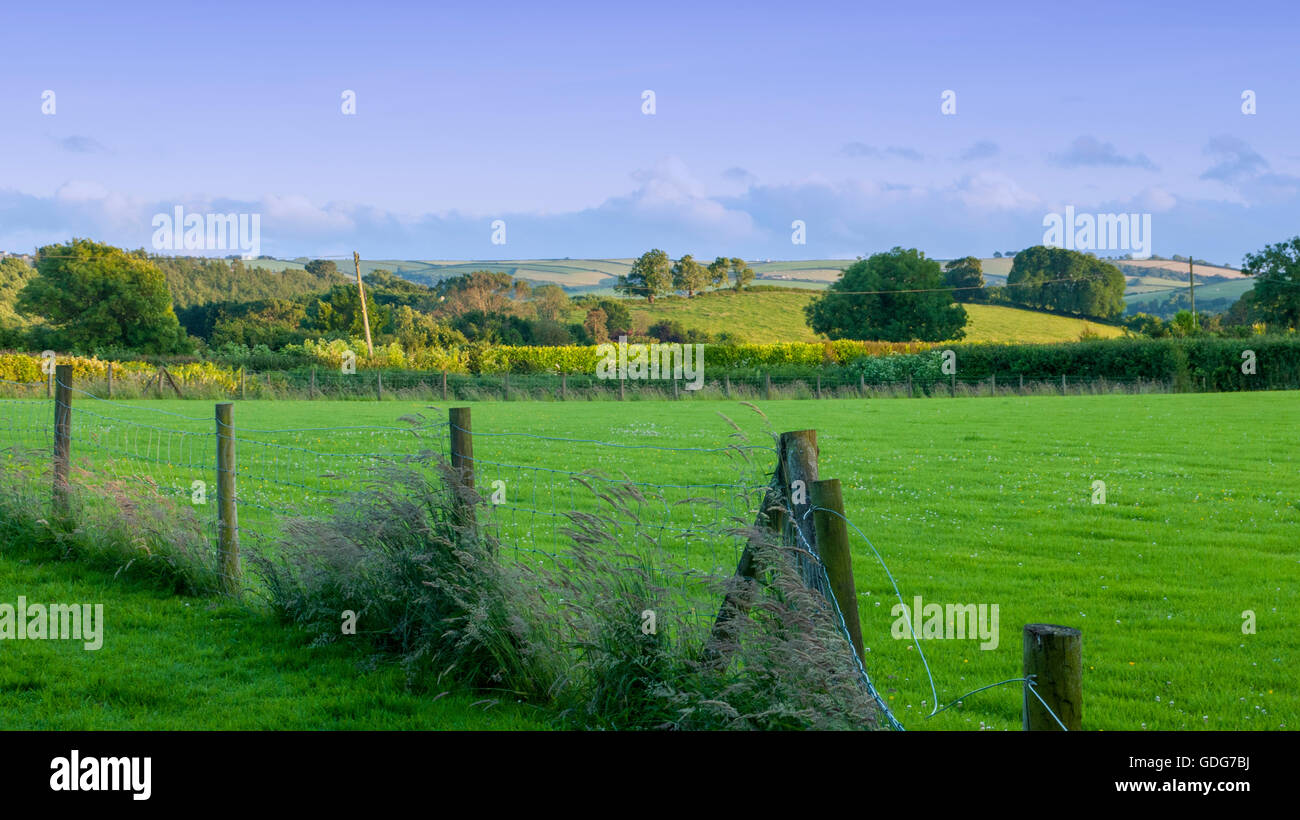 Countryside view near Stoke Gabriel Devon UK Stock Photo - Alamy