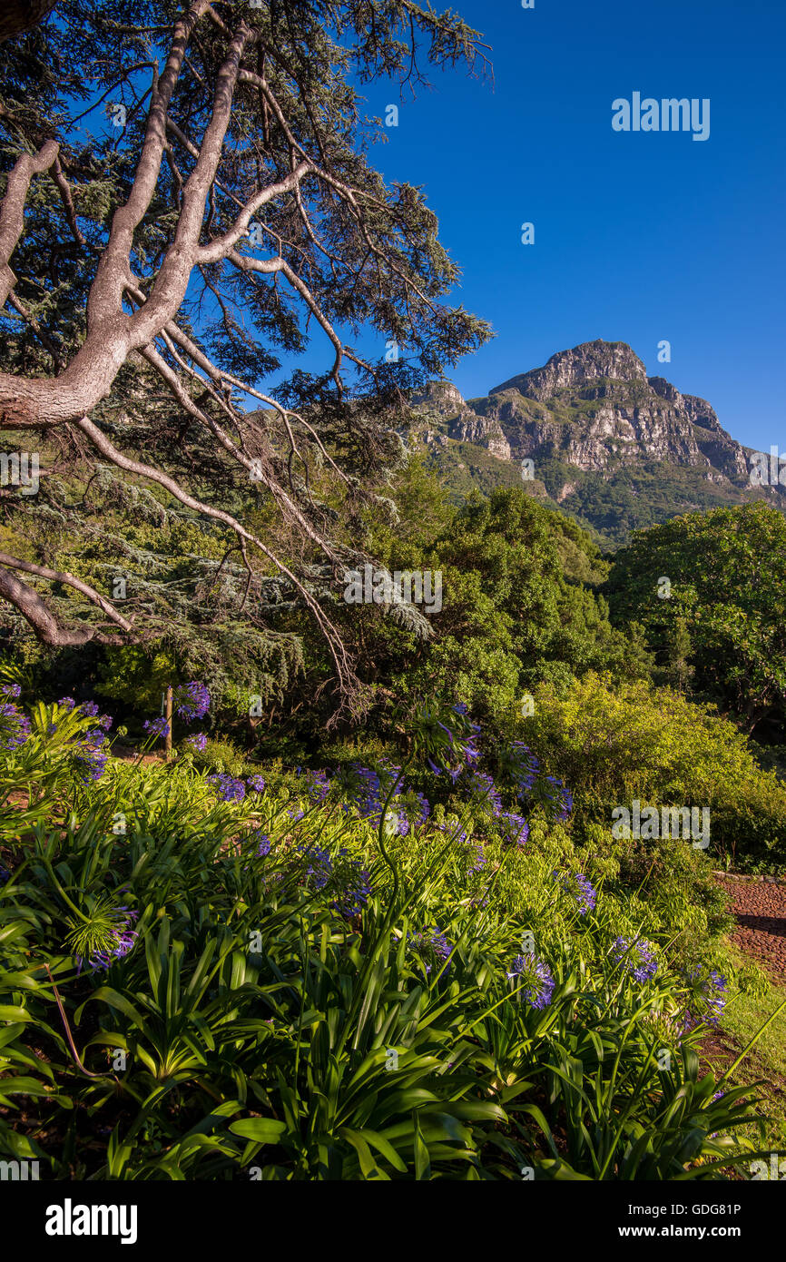 View from Kirstenbosch, Cape Town, South Africa Stock Photo