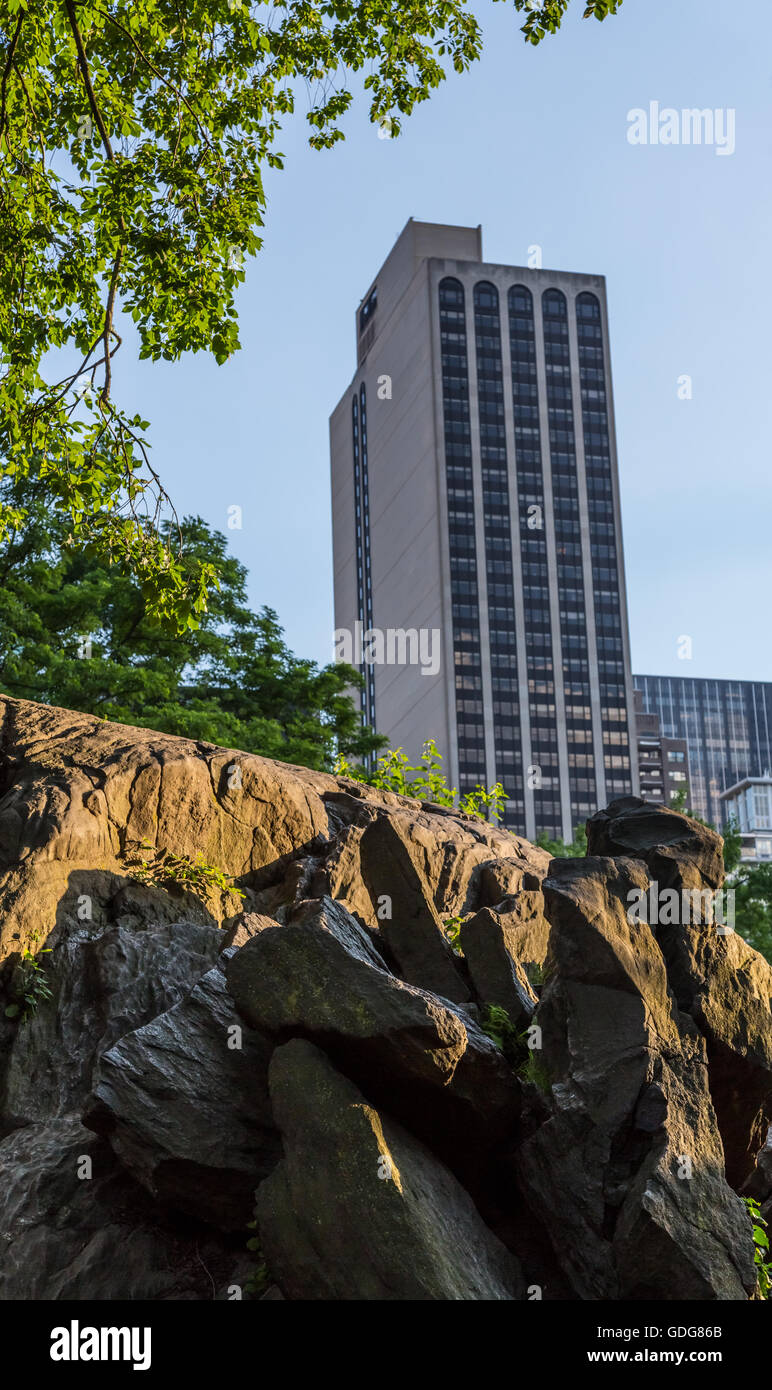 View of a skyscraper from Central Park in New York Stock Photo