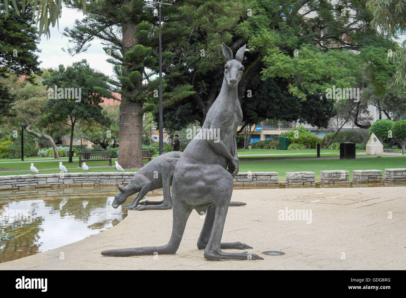 Kangaroo statues in the city center of Perth Western Australia Stock