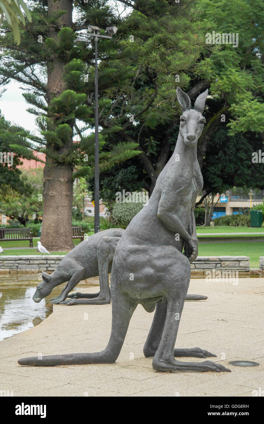Kangaroo statues in the city center of Perth Western Australia Stock