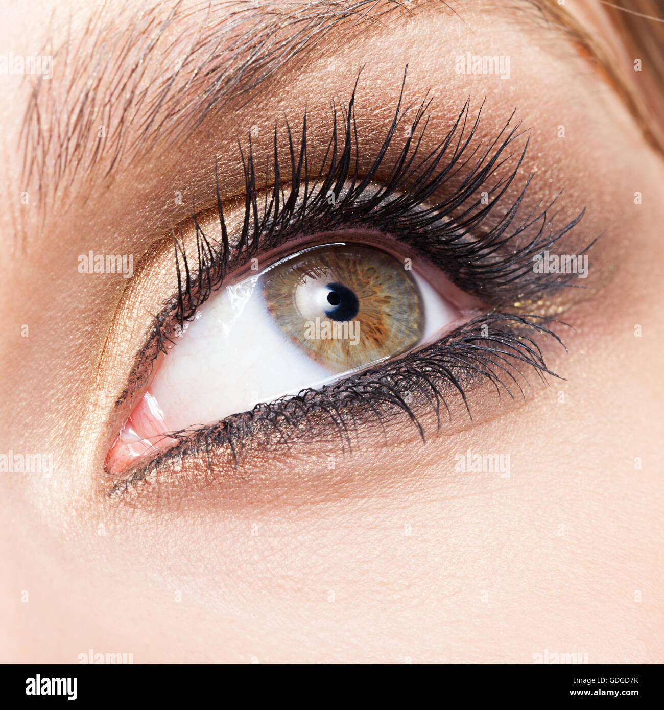 Eye close up close up closeup hi-res stock photography and images - Alamy