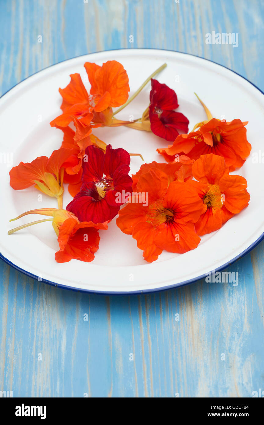 Red Herbal Tea with Edible Flowers. Organic Beverage Stock Photo - Alamy