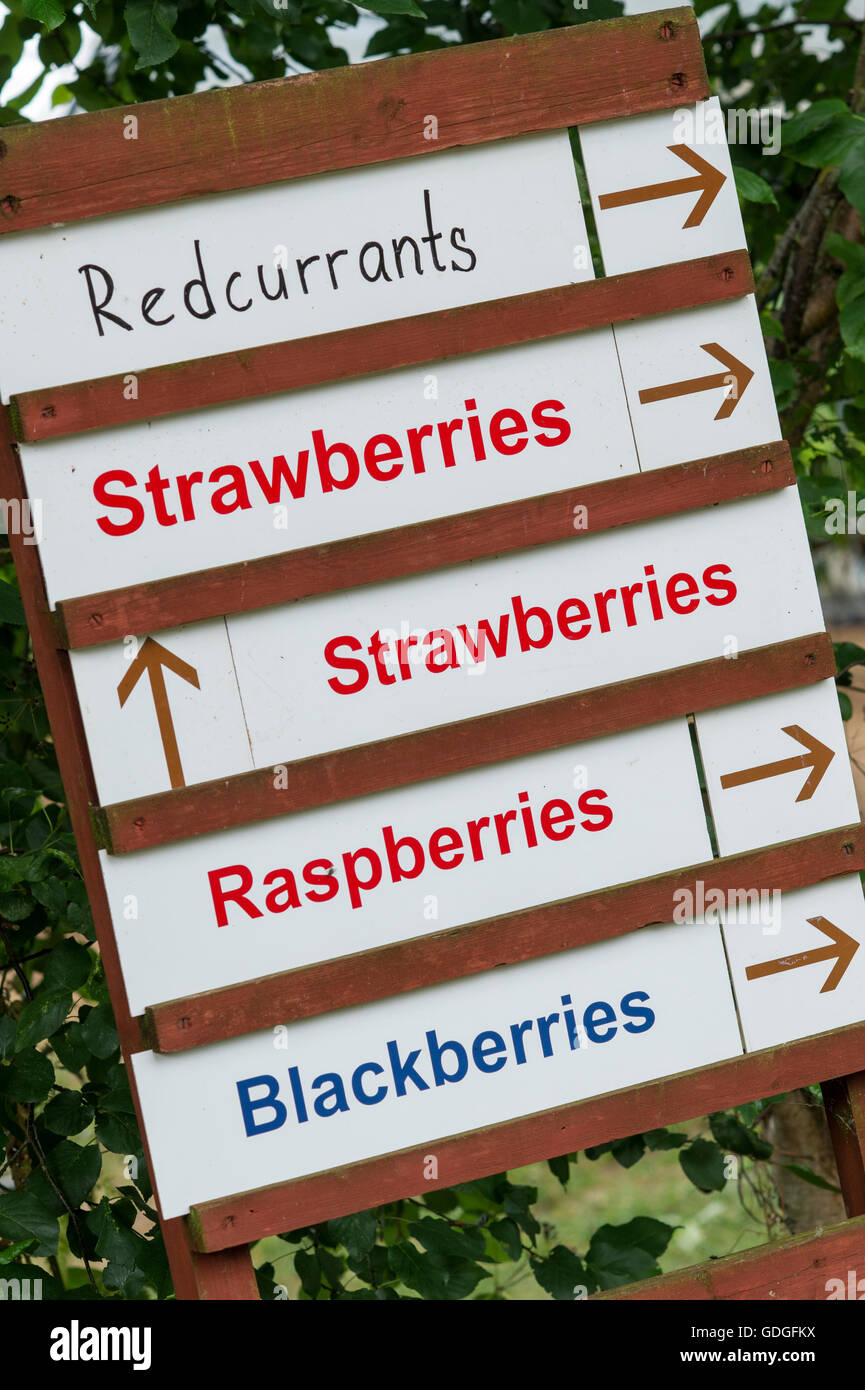 Pick your own fruit signs Stock Photo