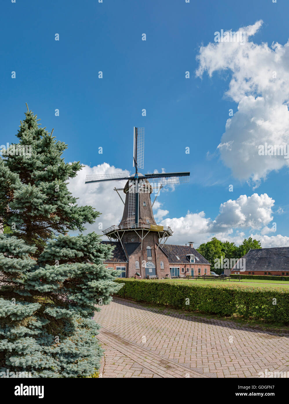 Roderwolde,Drenthe,Windmill called Woldzigt Stock Photo