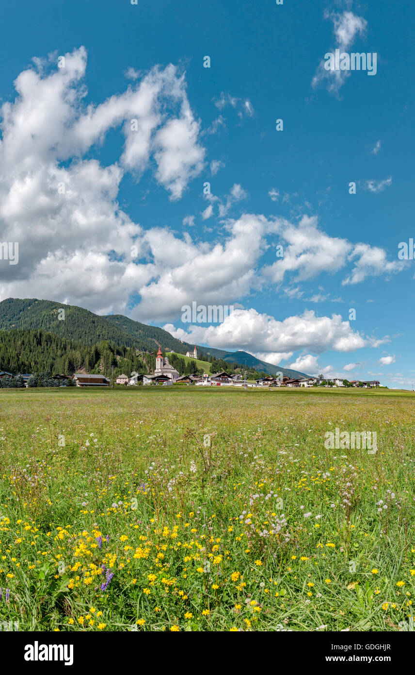 Strassen,Austria,Meadow flowers in the Drau valley Stock Photo