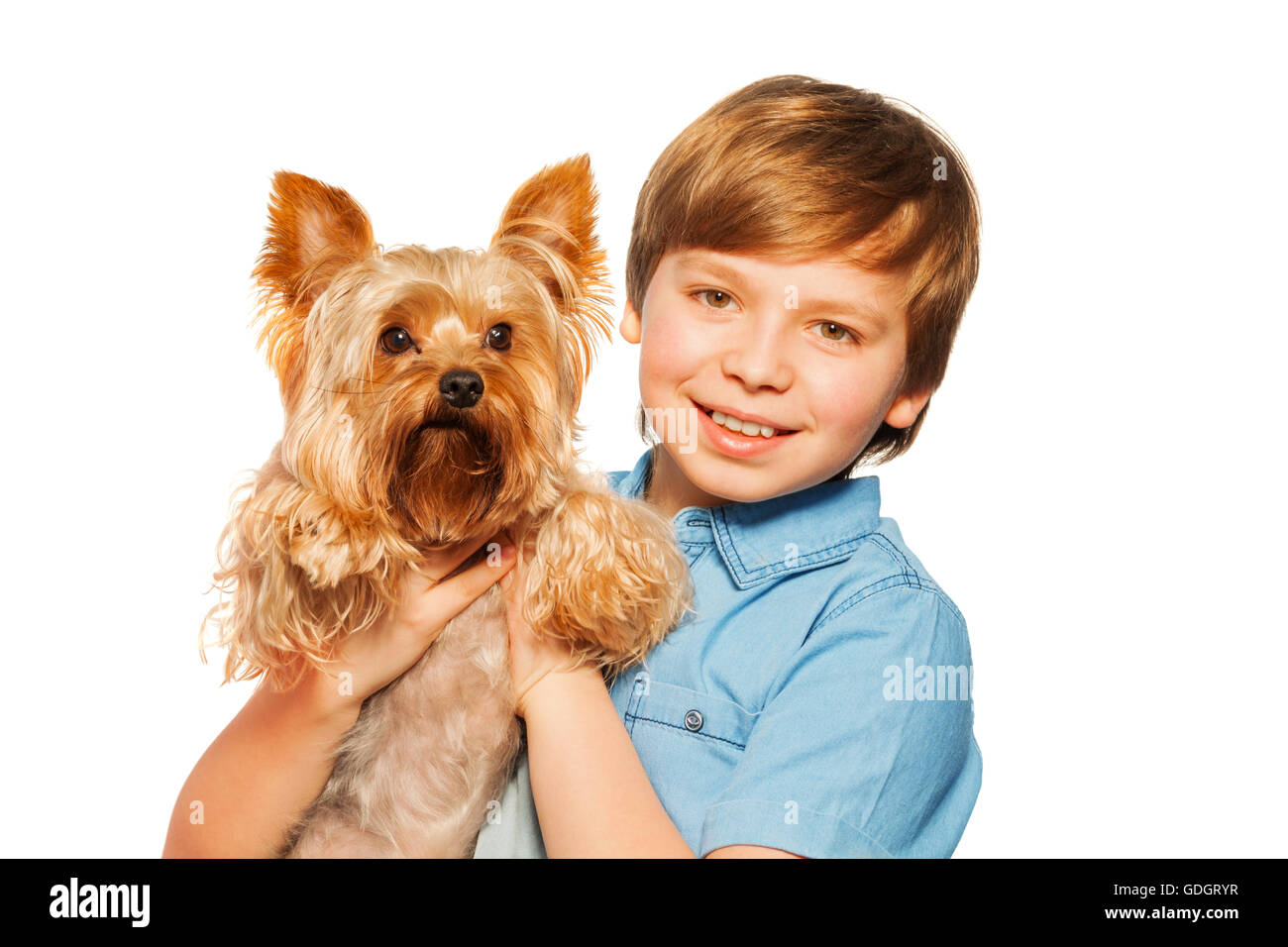 Smiling boy holding Yorkshire terrier Stock Photo Alamy