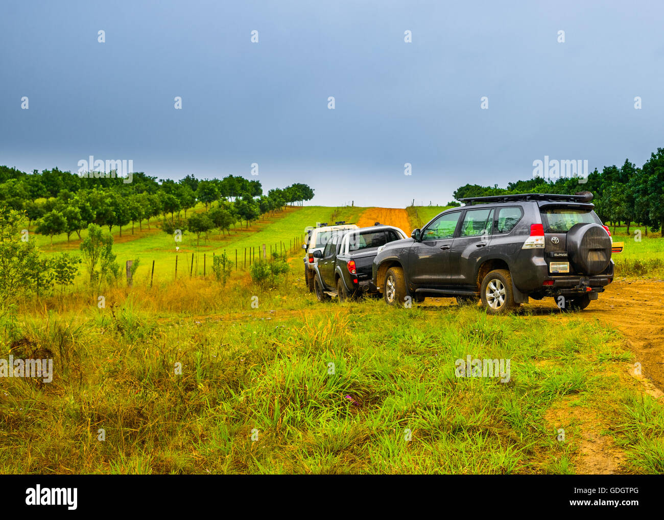 Toyota Landcruiser Prado and friends on a day out in the Glasshouse Mountains on the Sunshine Coast in Queensland - Convoy! Stock Photo