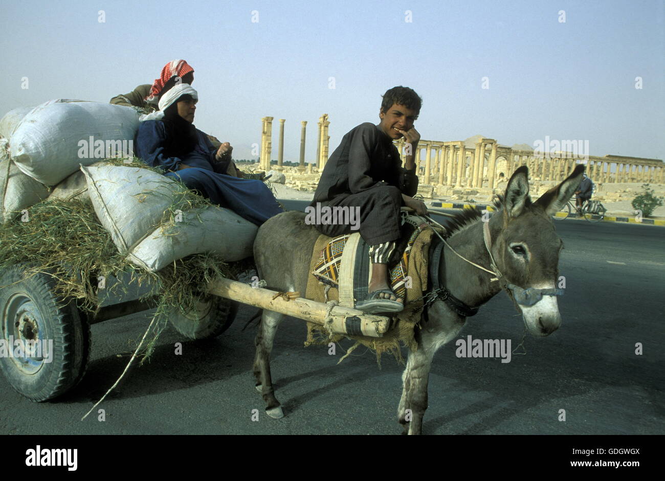 people in the desert at the Roman Ruins of Palmyra in Palmyra in the ...