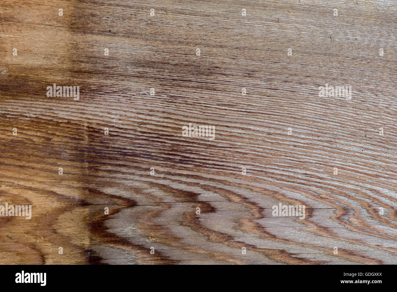 Close up detail texture wood Stock Photo - Alamy