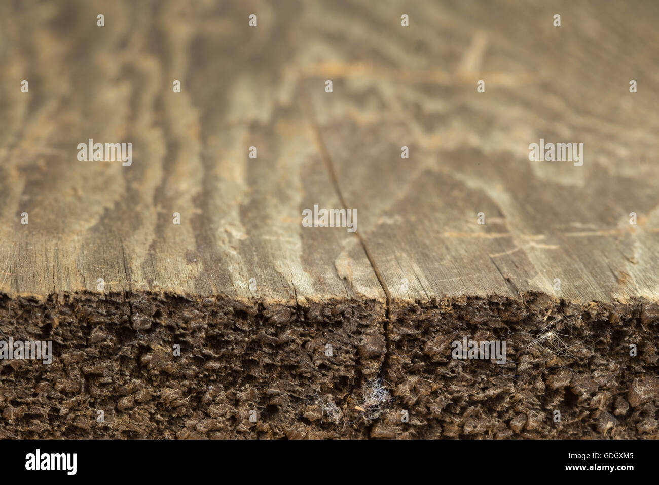 Close up detail texture wood Stock Photo - Alamy
