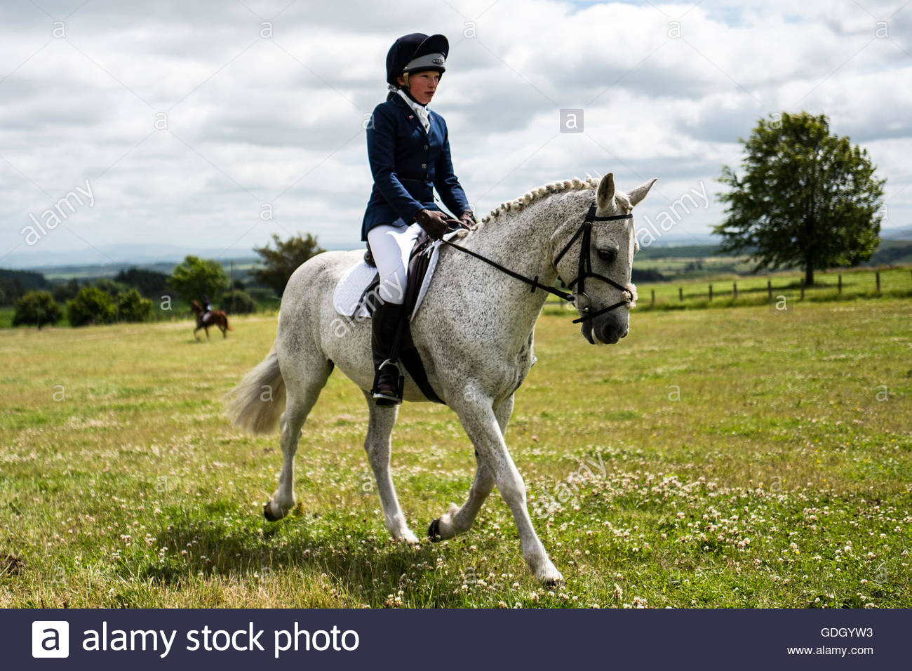 Young Girl Riding On Horse Stock Photos & Young Girl Riding On Horse