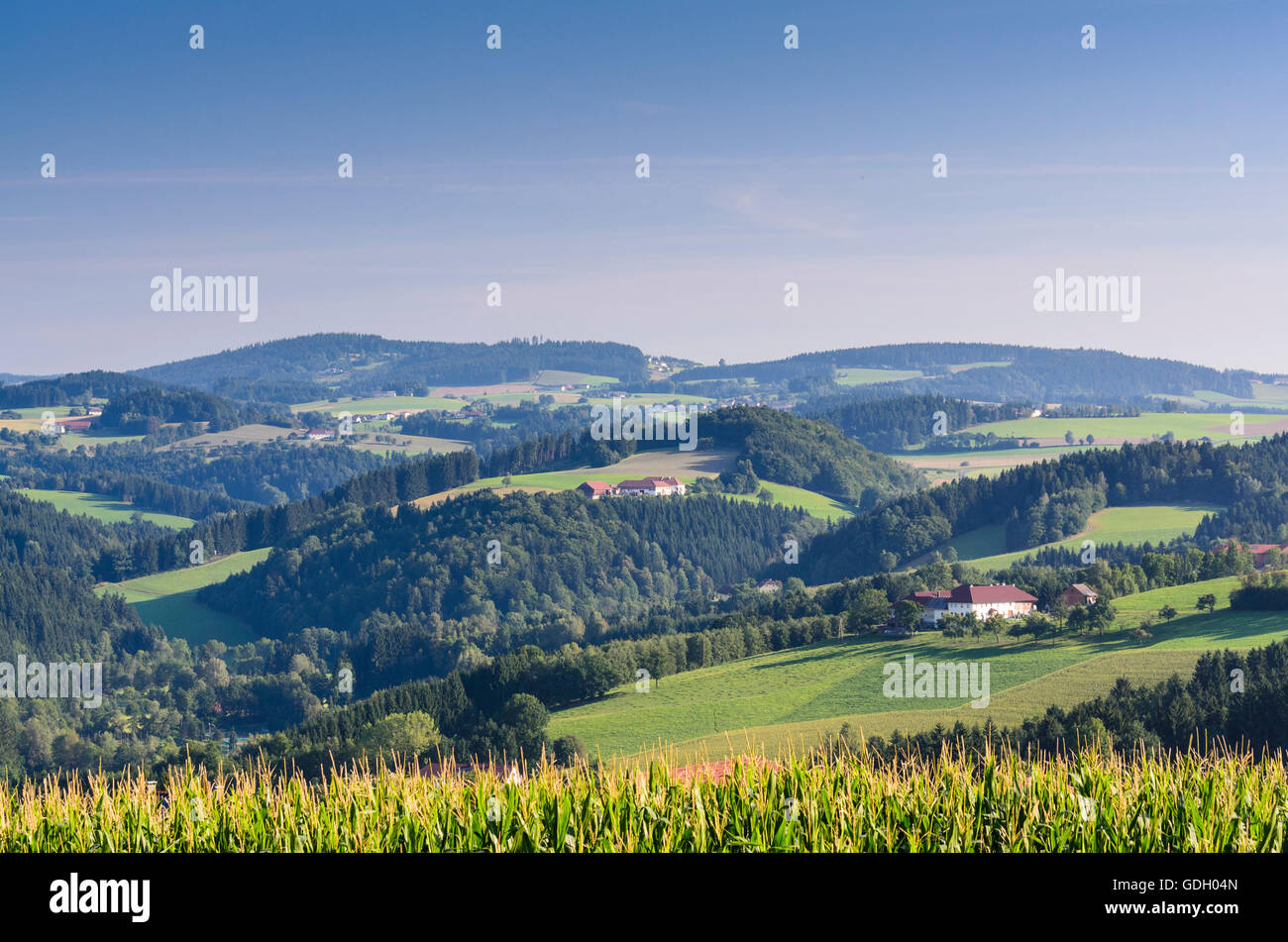 Gramastetten: Farms in the upper Mühlviertel, Austria, Oberösterreich, Upper Austria, Mühlviertel Stock Photo