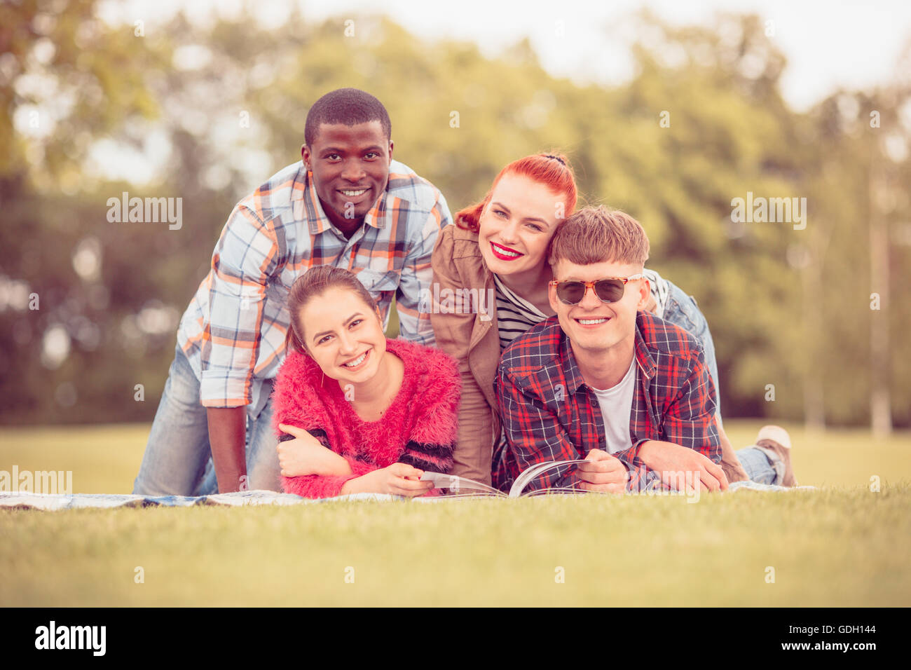 Friends hanging out, enjoying picnic - Stock Image - F020/2364 - Science  Photo Library