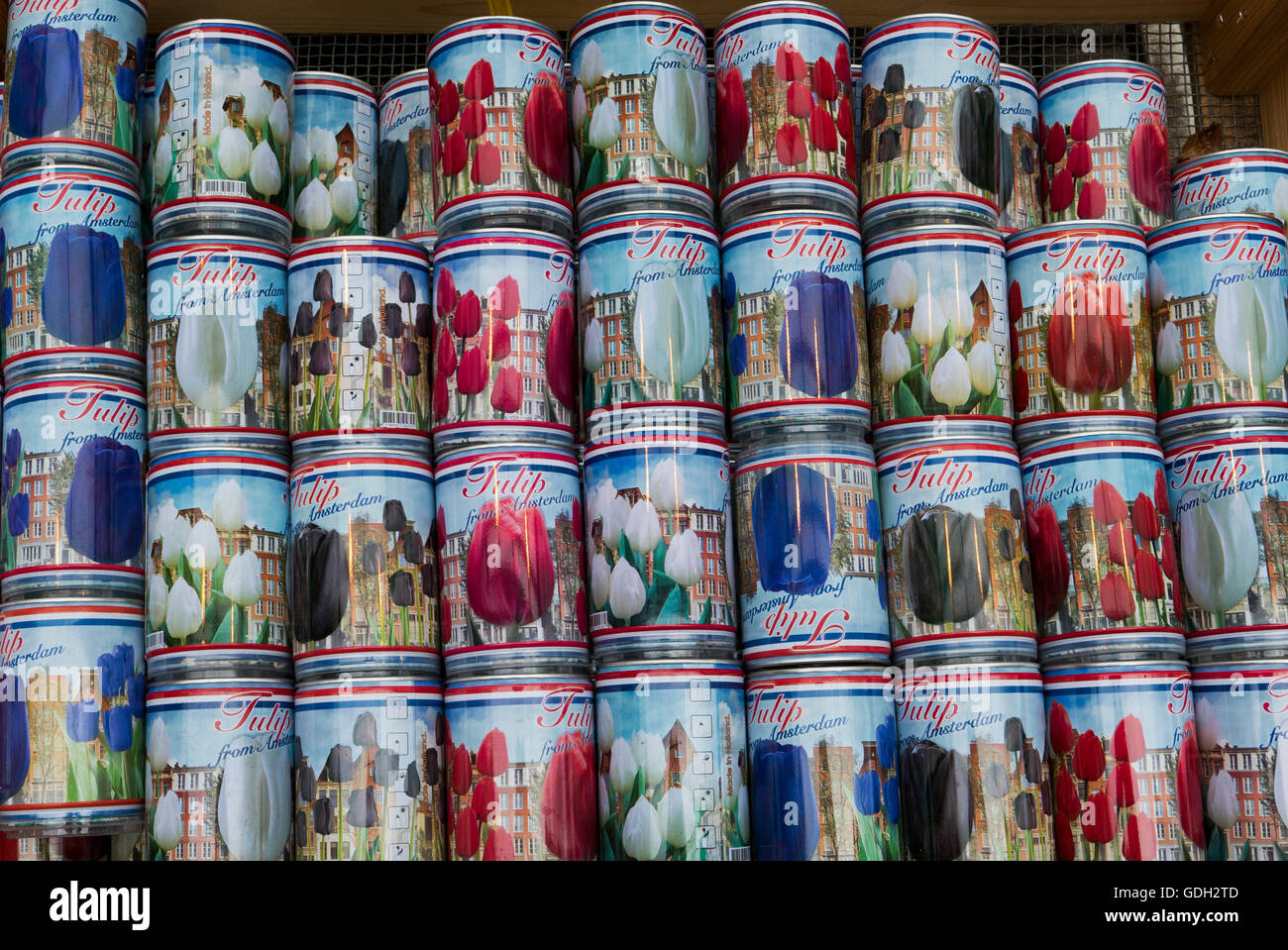 A selection of cans containing Tulip seeds on sale in Amsterdam, Holland, Netherlands. Stock Photo