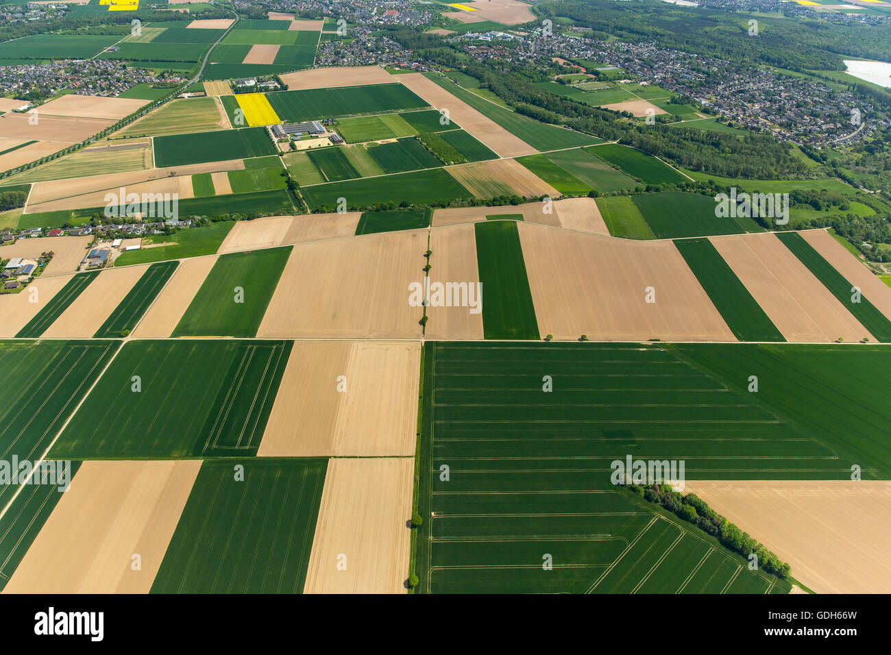 Aerial view, fields, cornfields, Grevenbroich, Lower Rhine, North Rhine-Westphalia, Germany Stock Photo