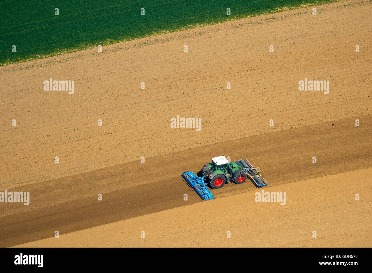 Aerial view, Tractor in a field, arable, harrowing and seeding, Baesweiler, Lower Rhine, North Rhine-Westphalia, Germany Stock Photo