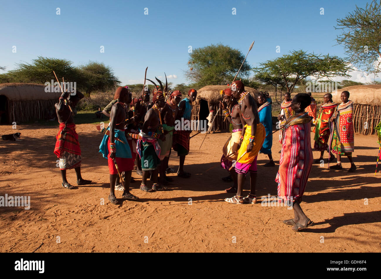 Samburu tribesmen traditional dance, Loisaba Wilderness Conservancy, Laikipia, Kenya, Africa Stock Photo