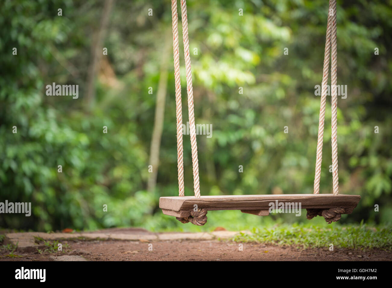 Green forest rope swing hi-res stock photography and images - Alamy