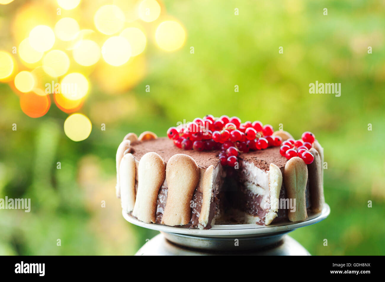 Ice cream tiramisu cake with cranberries Stock Photo