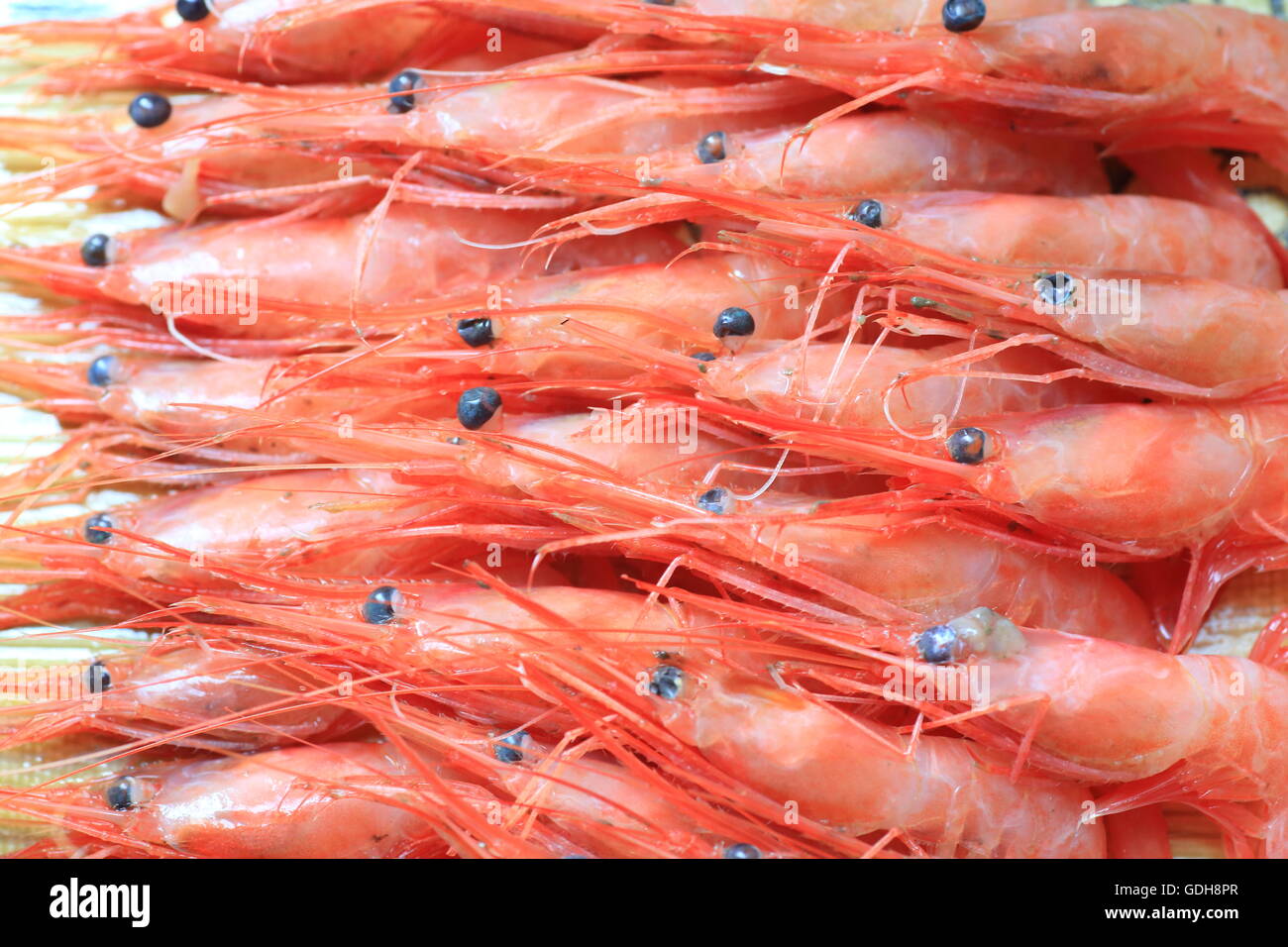 Alaskan pink shrimp (Pandalus eous) Stock Photo